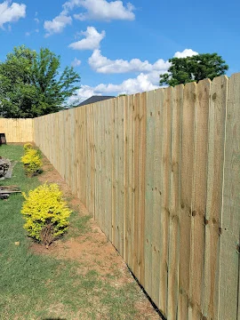 Tall pressure-treated wood privacy fence with vertical pickets running along a grassy backyard with yellow shrubs