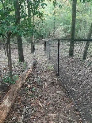 Black vinyl-coated chain-link fence with metal posts running through a wooded area with leaf litter and a fallen log
