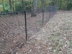 Black vinyl-coated chain link fence with metal posts running through a wooded area with fallen leaves